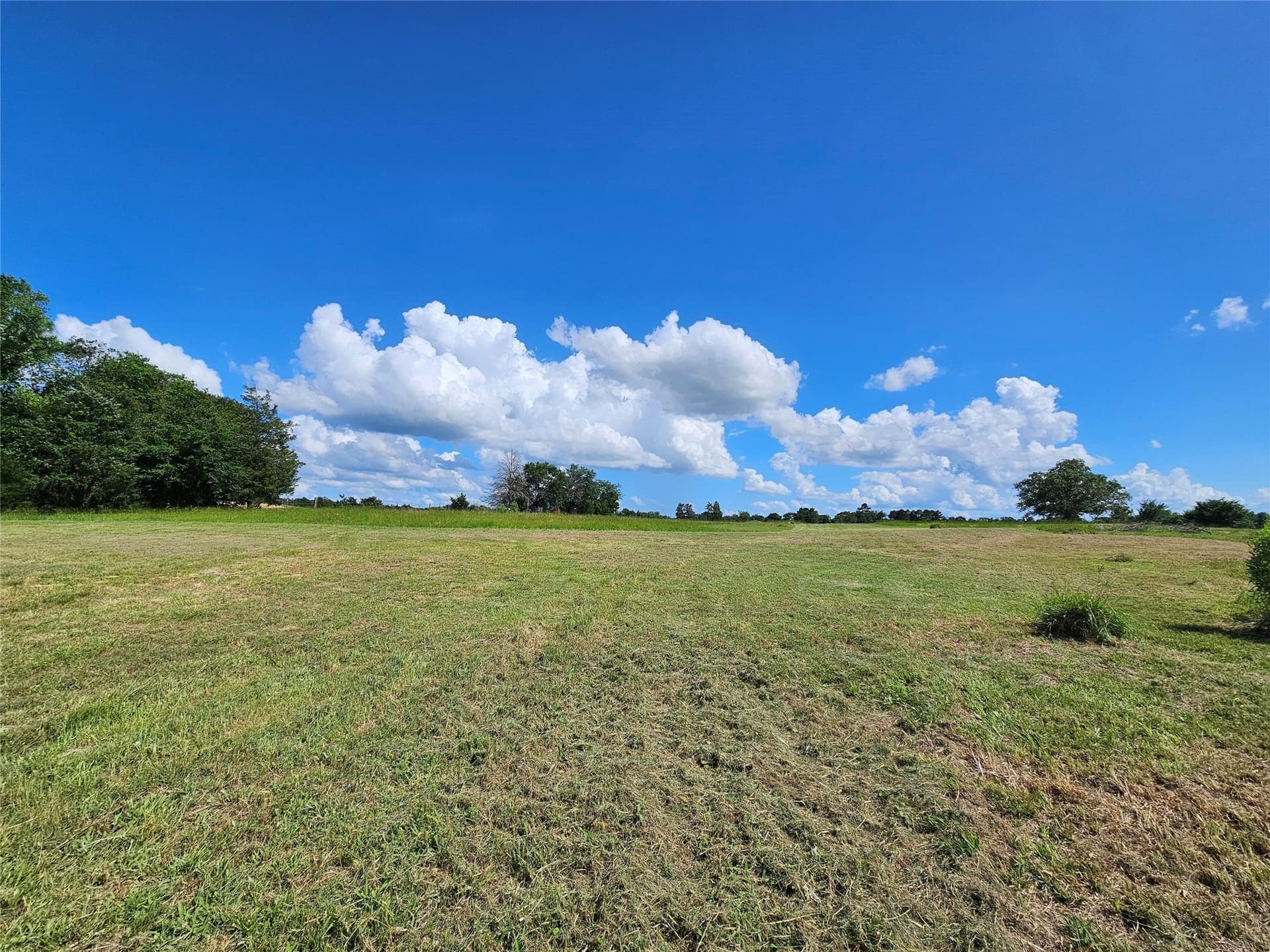 16.3 acres in Van Zandt County - photo 12
