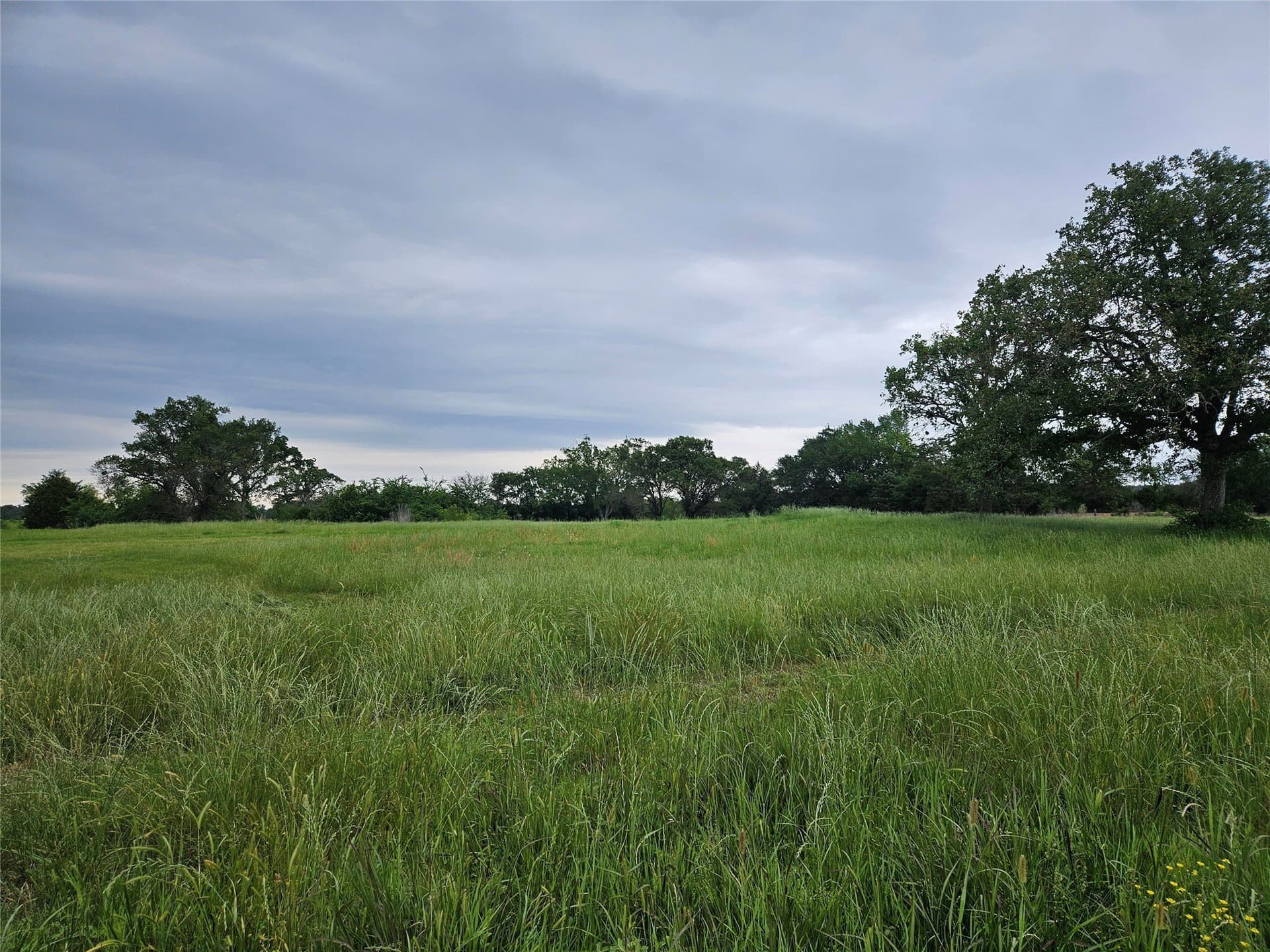 16.3 acres in Van Zandt County - photo 25