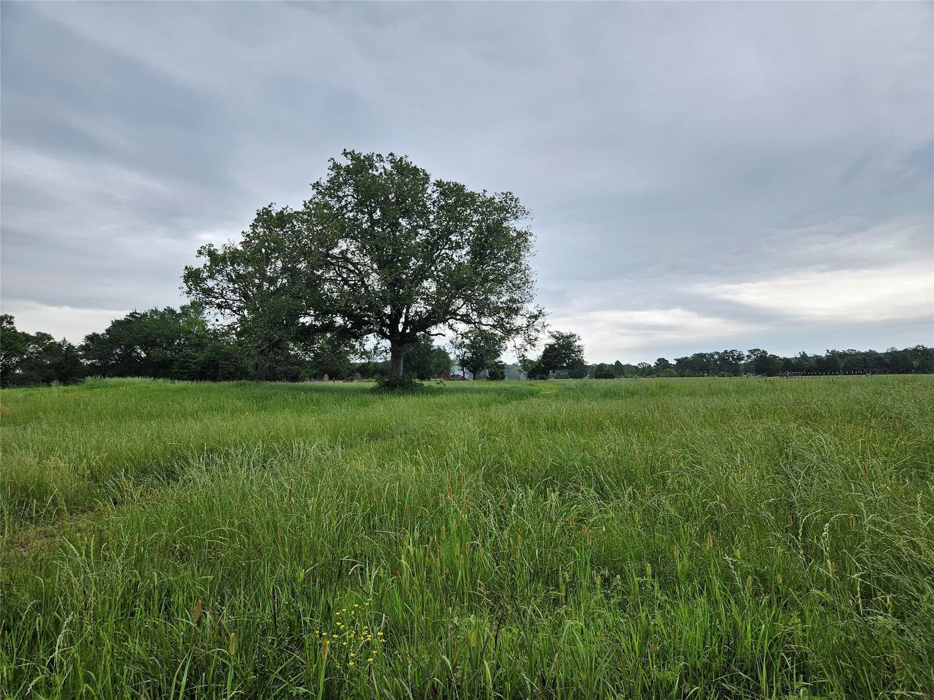16.3 acres in Van Zandt County - photo 20