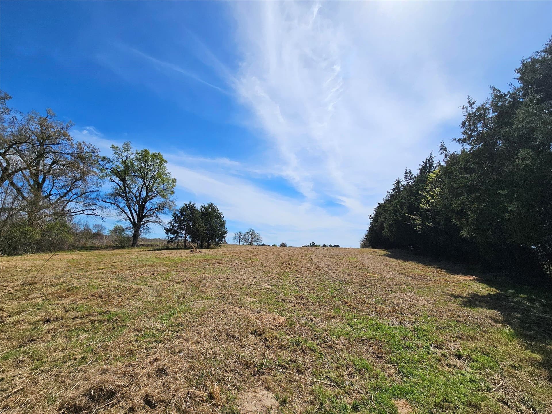 16.3 acres in Van Zandt County - photo 11