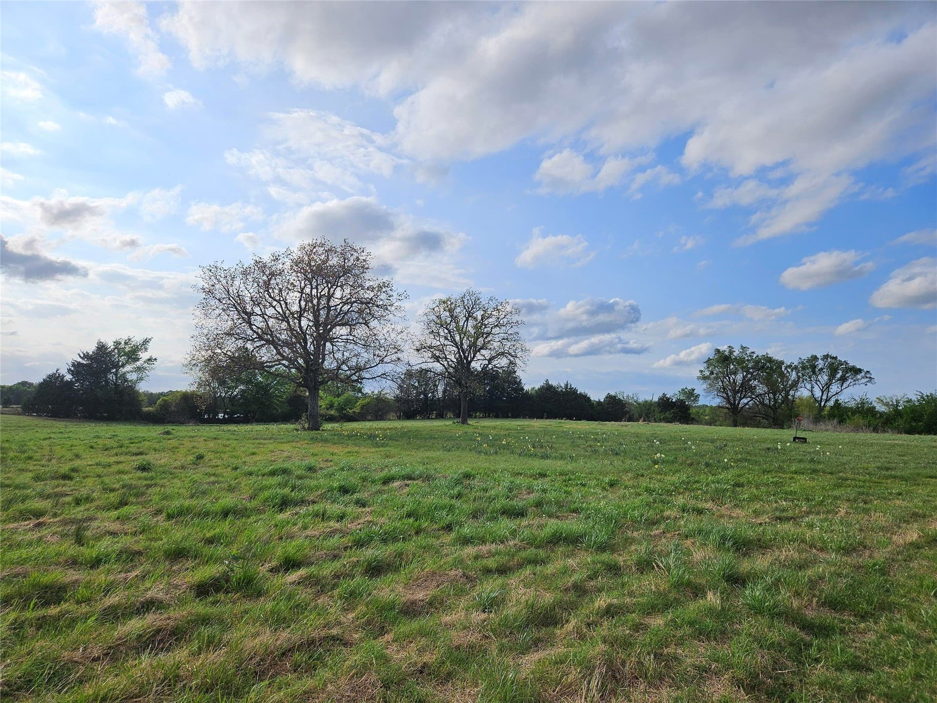 16.3 acres in Van Zandt County - photo 19