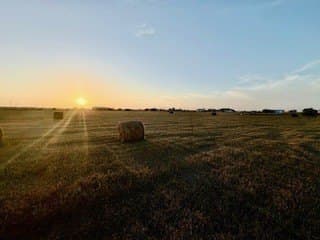 13.03 acres in San Patricio County gallery image 2