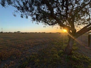 13.03 acres in San Patricio County