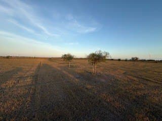 13.03 acres in San Patricio County featured view