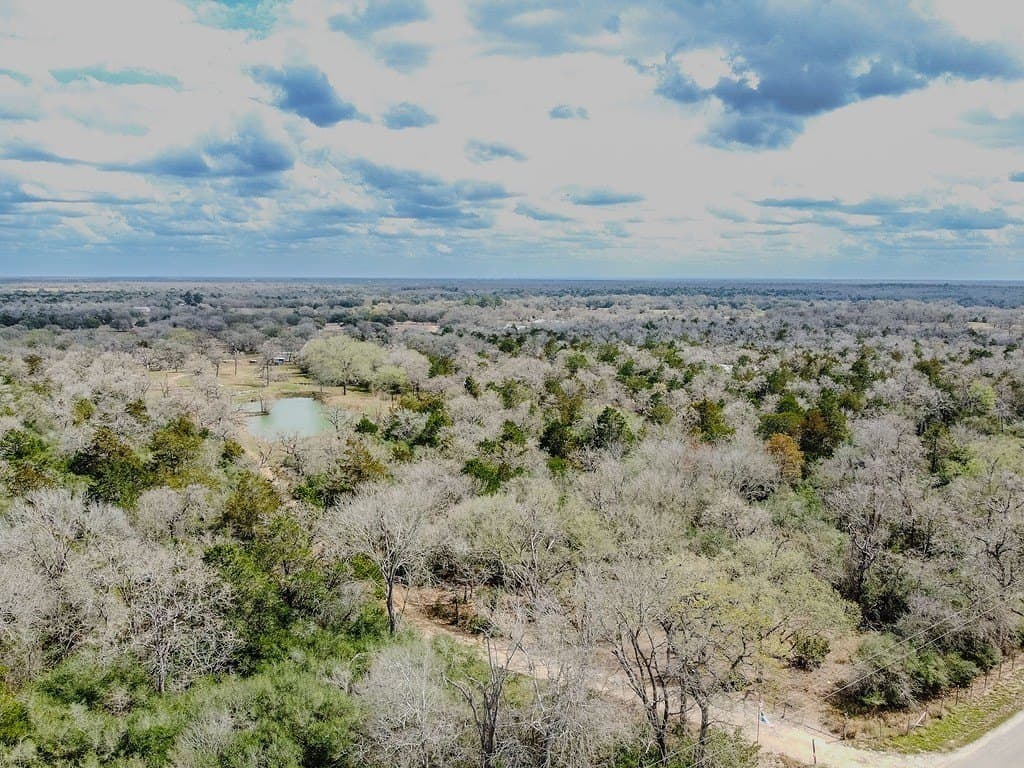 19.99 acres in Caldwell County gallery image 3