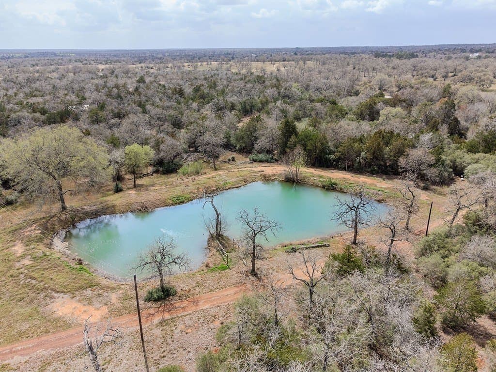 19.99 acres in Caldwell County gallery image 4