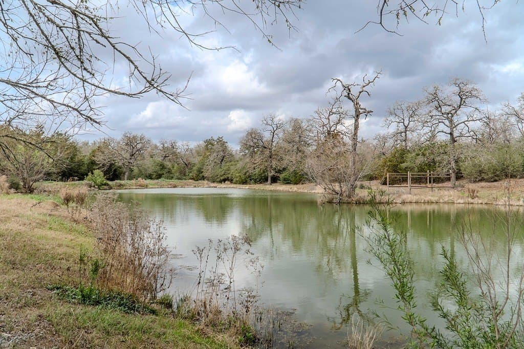 19.99 acres in Caldwell County gallery image 2