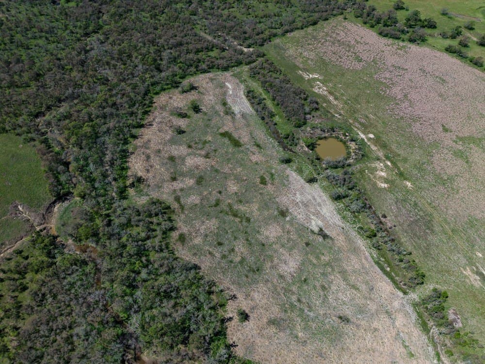 100.5 acres in Limestone County - photo 14