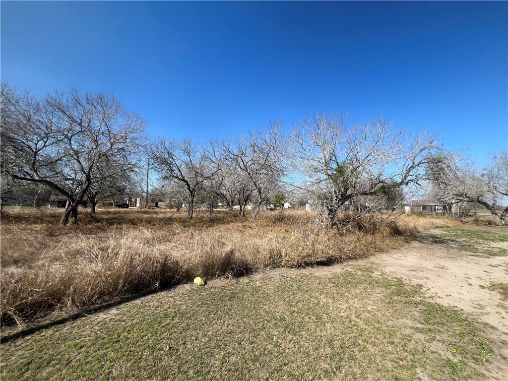 0.57 acres in San Patricio County - photo 8