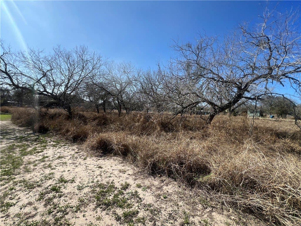 0.57 acres in San Patricio County - photo 10