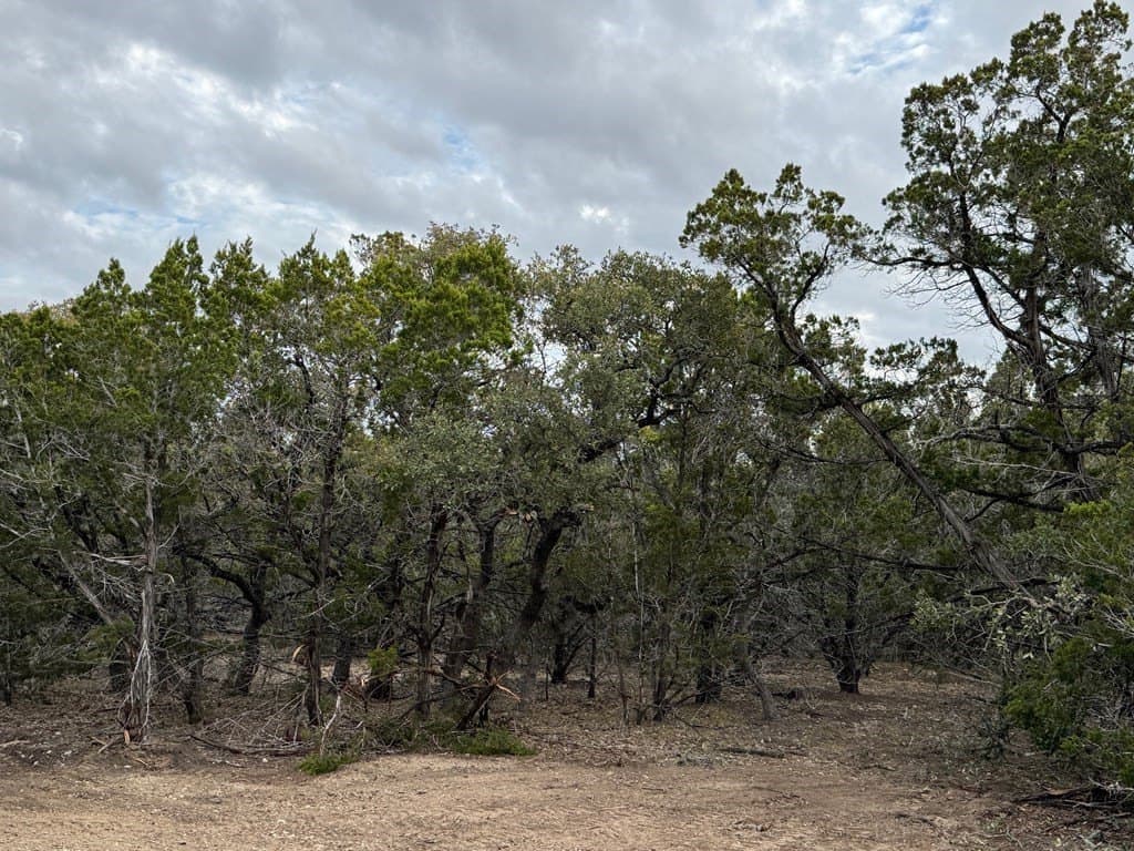 5.84 acres in Bandera County featured view
