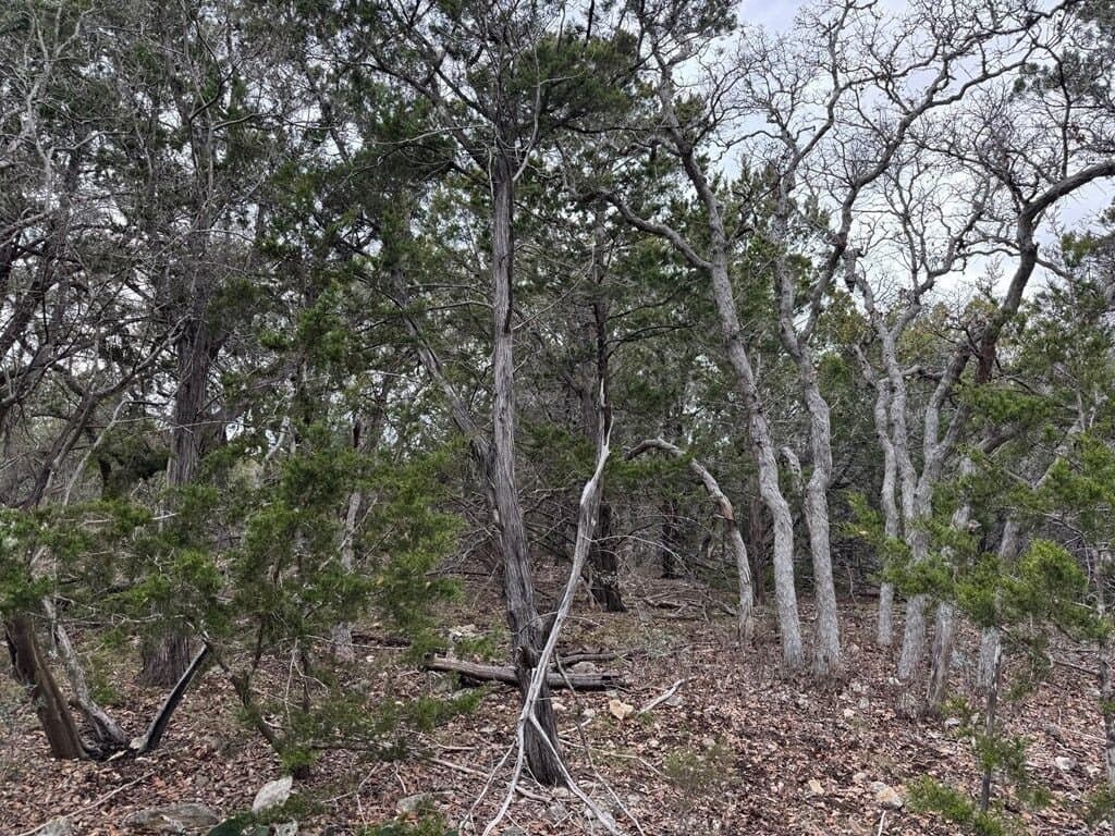 5.84 acres in Bandera County - photo 3