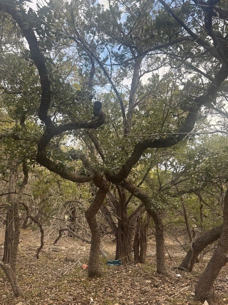 5.84 acres in Bandera County - photo 8
