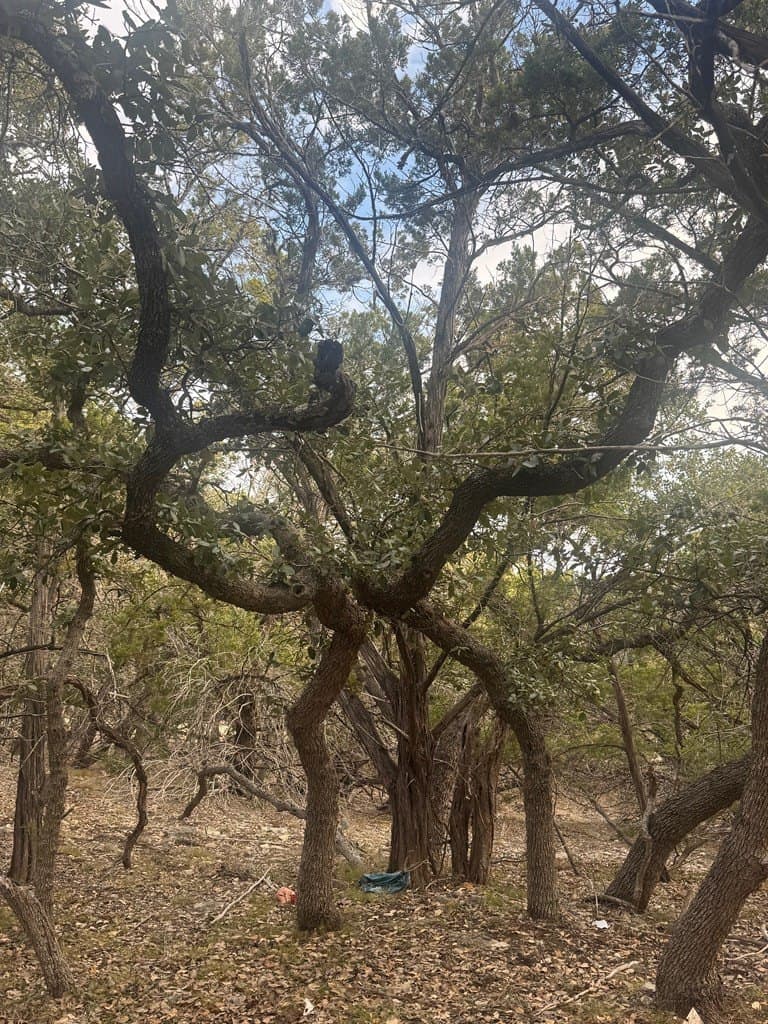 5.84 acres in Bandera County - photo 8
