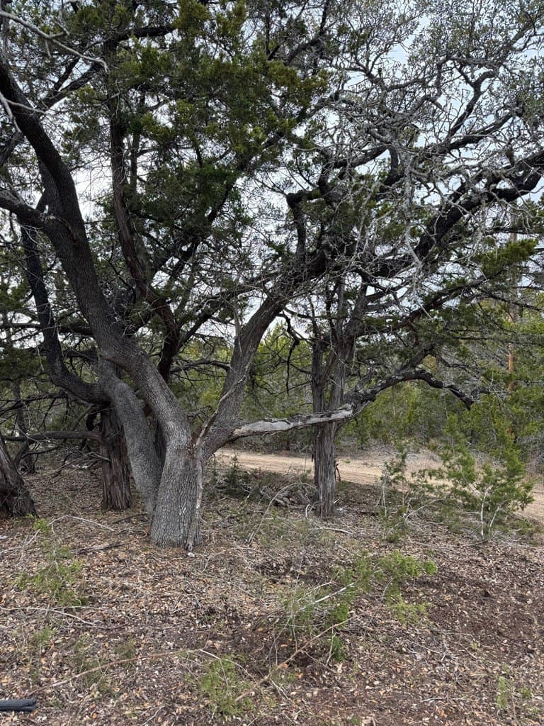 5.84 acres in Bandera County gallery image 4