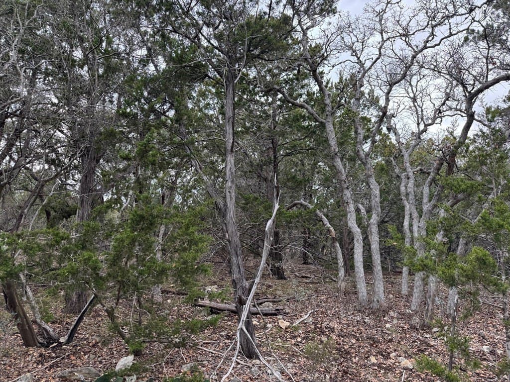 5.84 acres in Bandera County gallery image 2