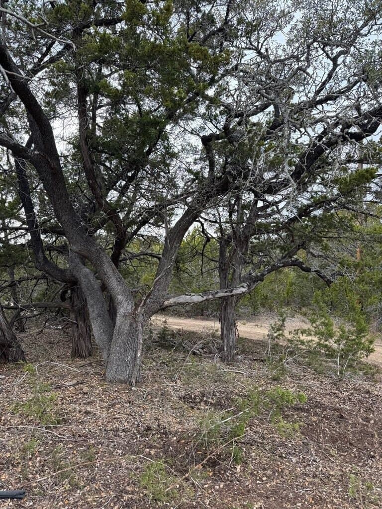 5.84 acres in Bandera County - photo 4
