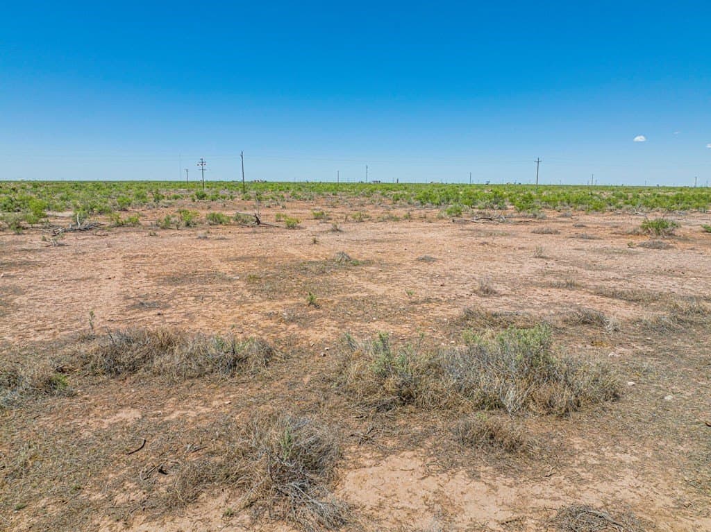 50 acres in Ector County - photo 7