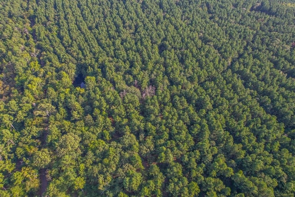 32 acres in Henderson County gallery image 3