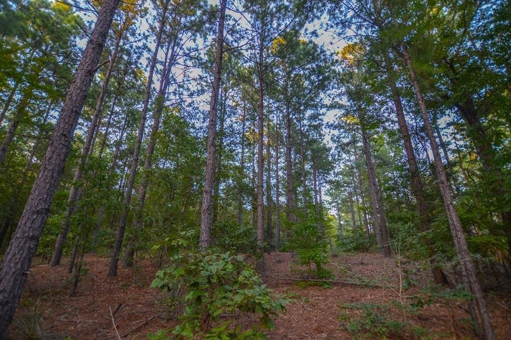 32 acres in Henderson County featured view