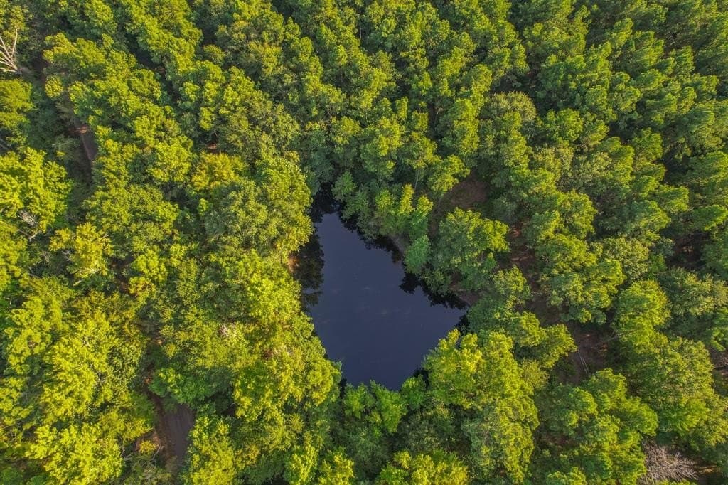 32 acres in Henderson County gallery image 2