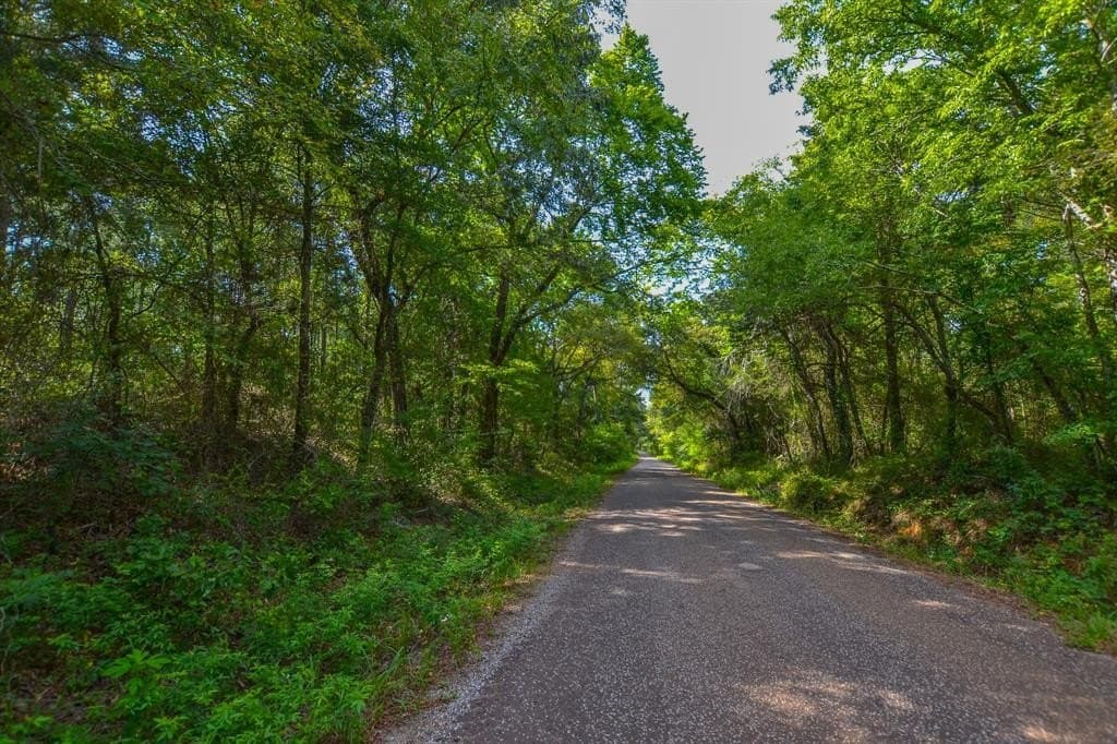 32 acres in Henderson County gallery image 4