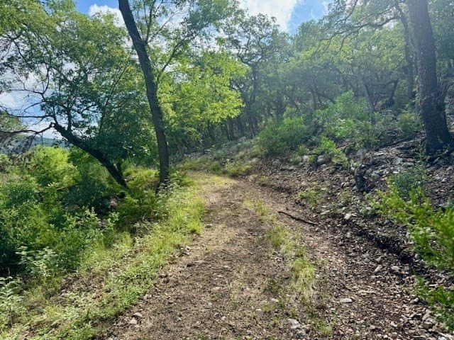 20.01 acres in Real County featured view