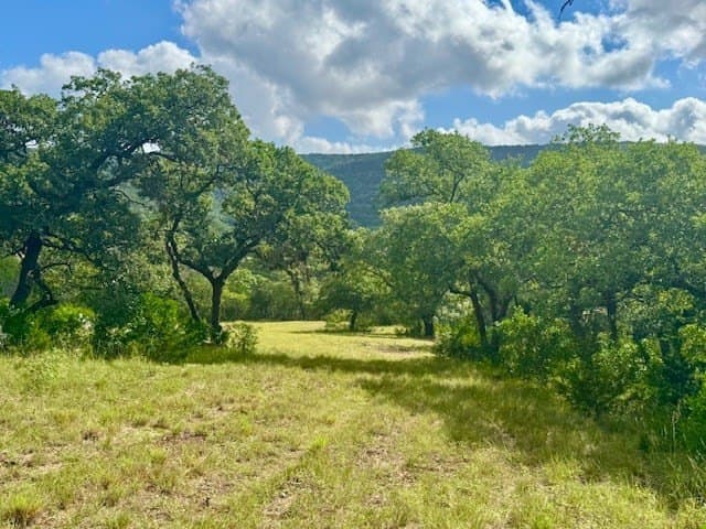 20.01 acres in Real County gallery image 2