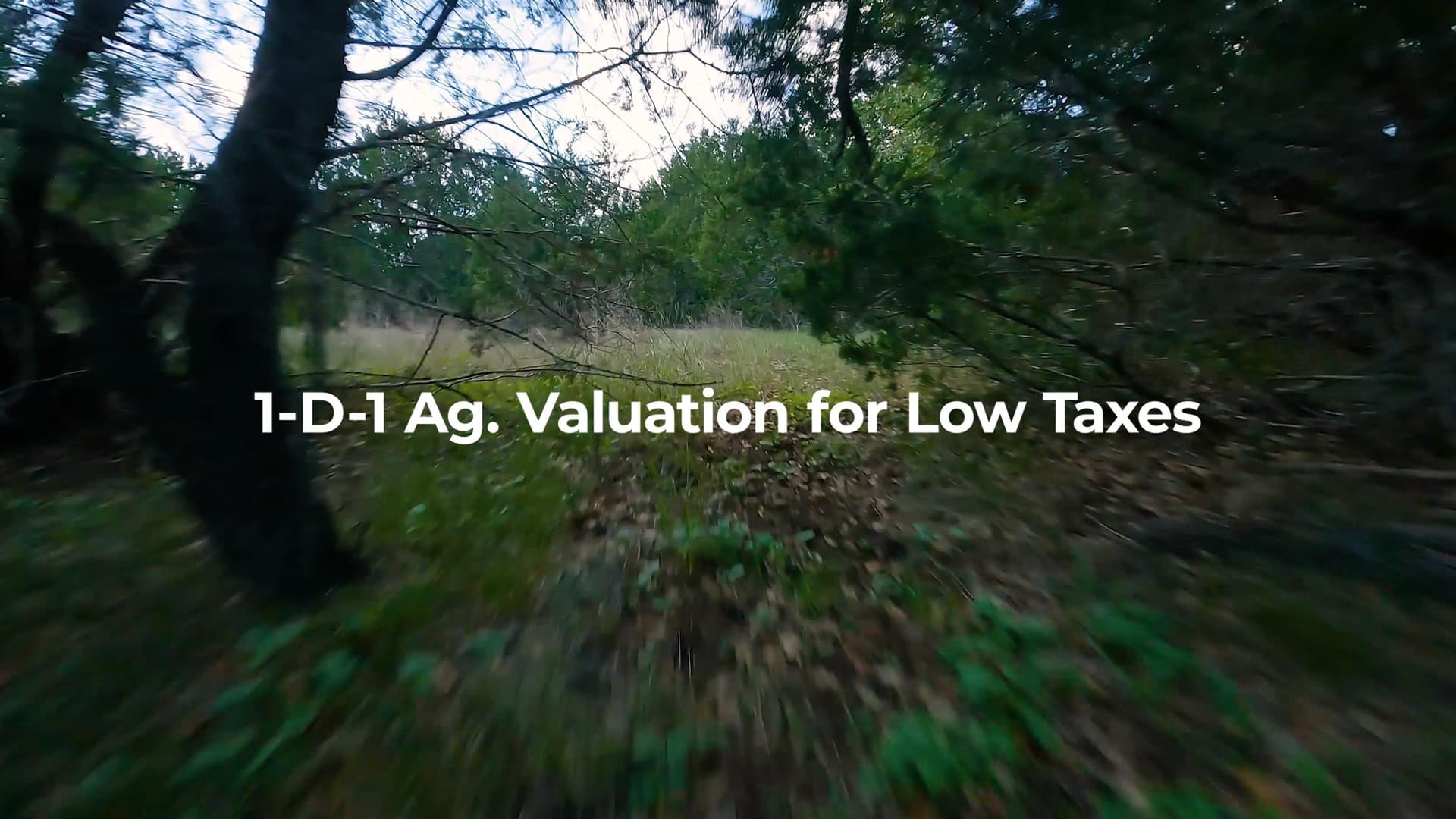 85.02 acres in Burnet County - photo 8