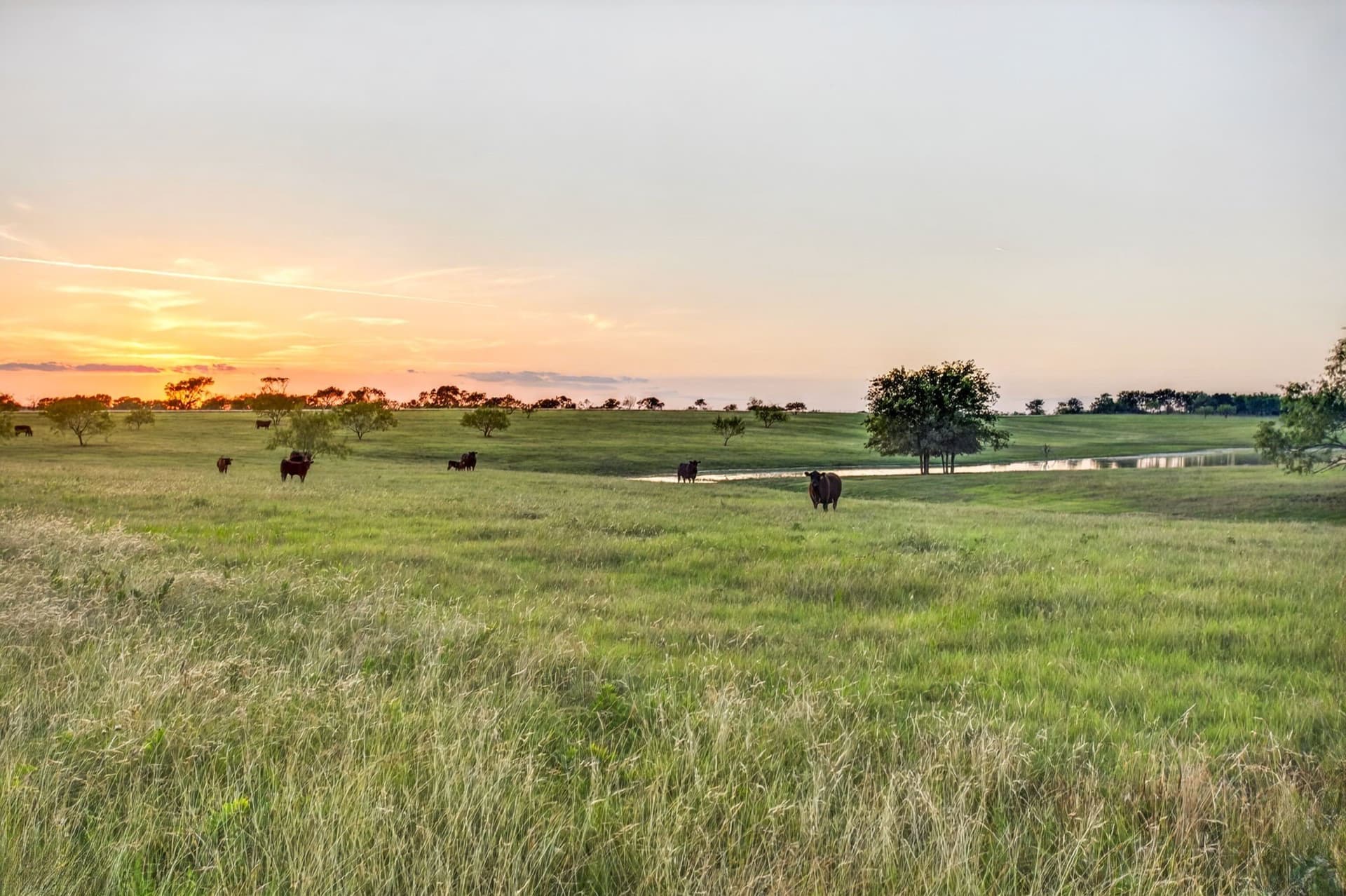 68.29 acres in Ellis County - photo 33