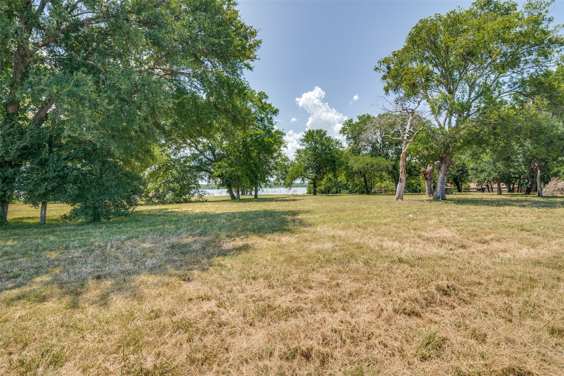 3.9 acres in Dallas County - photo 7