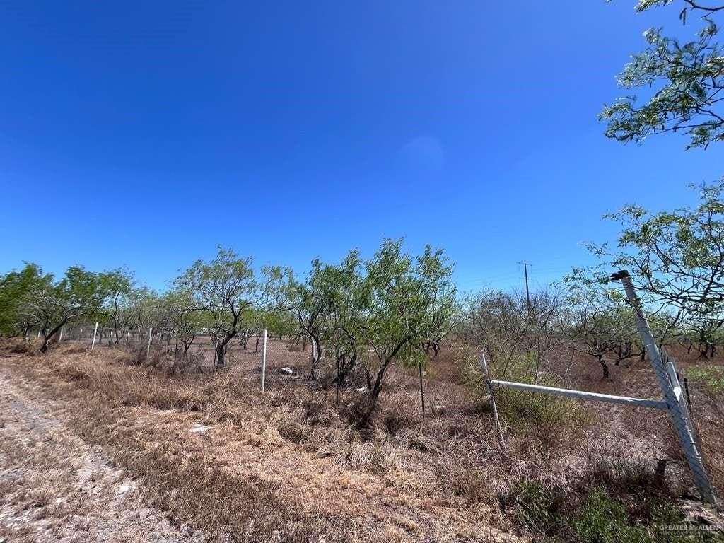 10.5 acres in Cameron County - photo 12