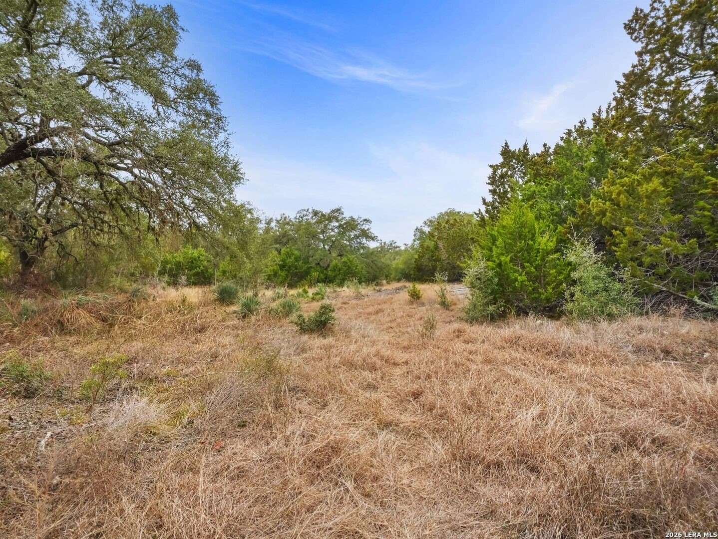 5.23 acres in Medina County - photo 15