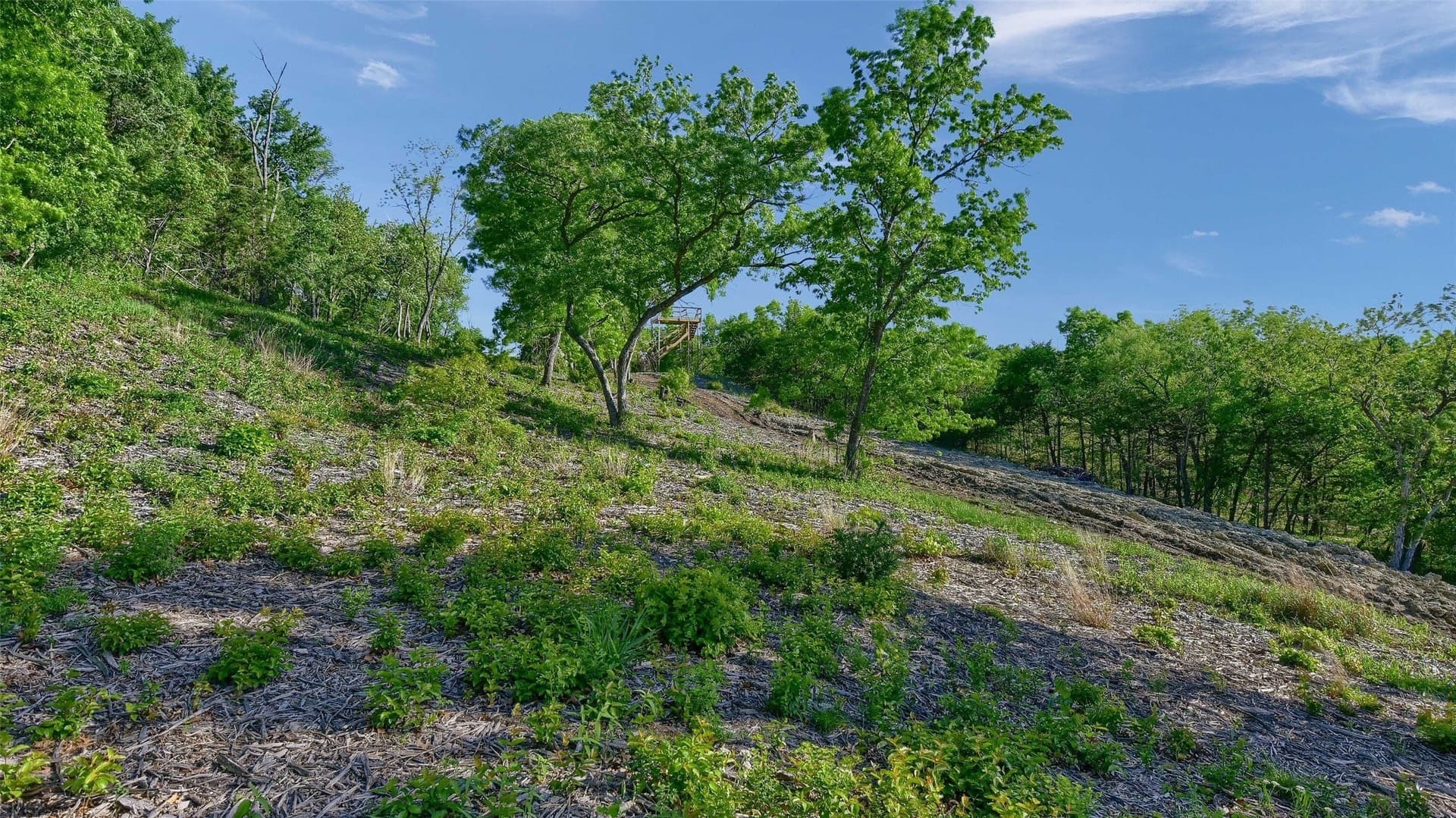 1.29 acres in Grayson County - photo 7