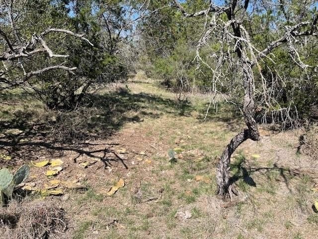 42.46 acres in Mason County gallery image 3