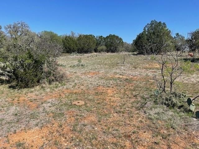 42.46 acres in Mason County gallery image 2