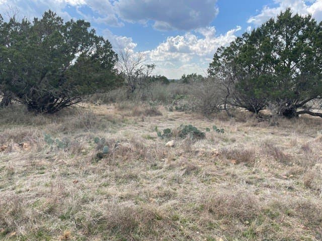 42.46 acres in Mason County featured view