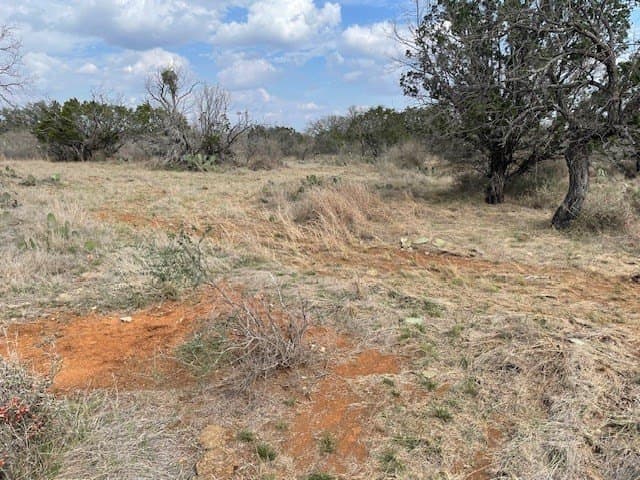 42.46 acres in Mason County gallery image 4