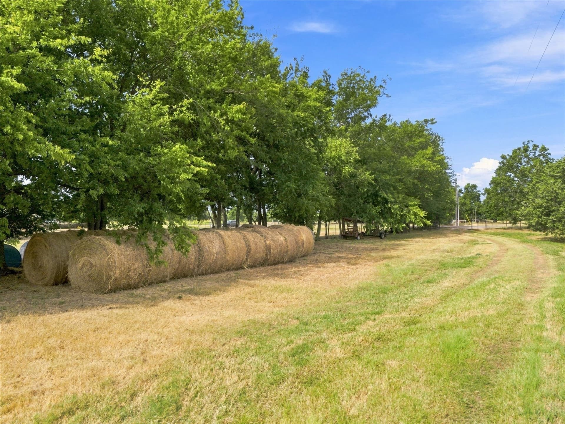 21.4 acres in Delta County - photo 12