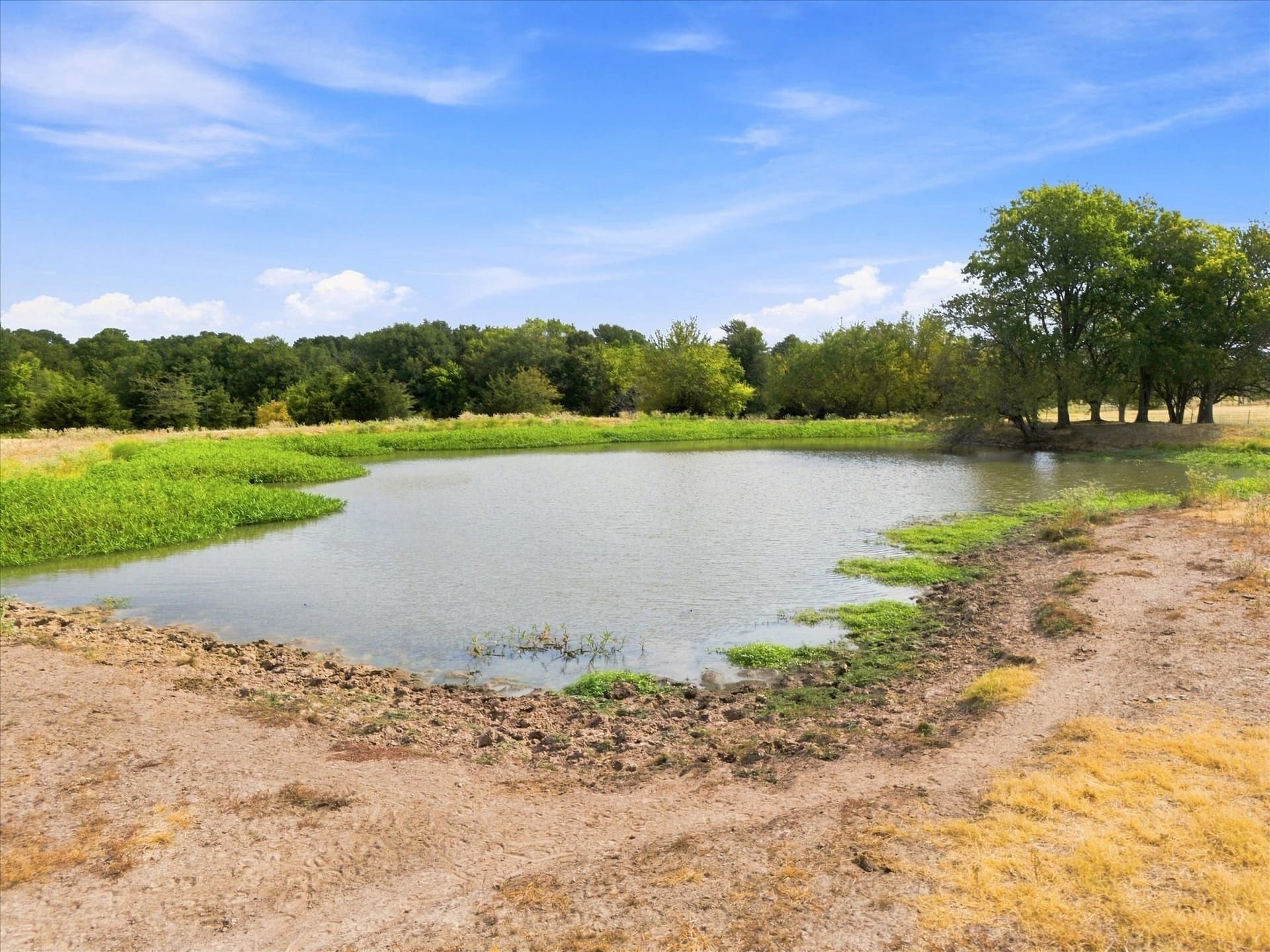 21.4 acres in Delta County - photo 16