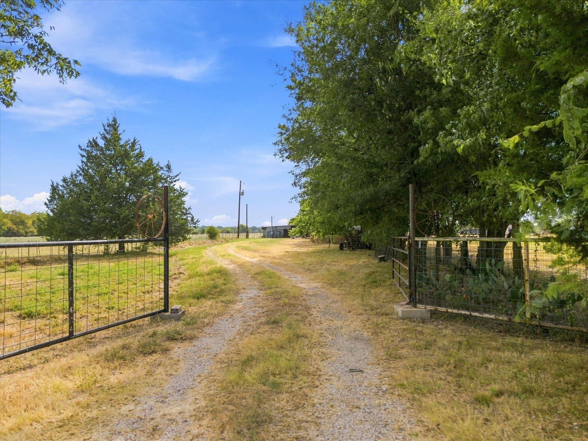 21.4 acres in Delta County - photo 3