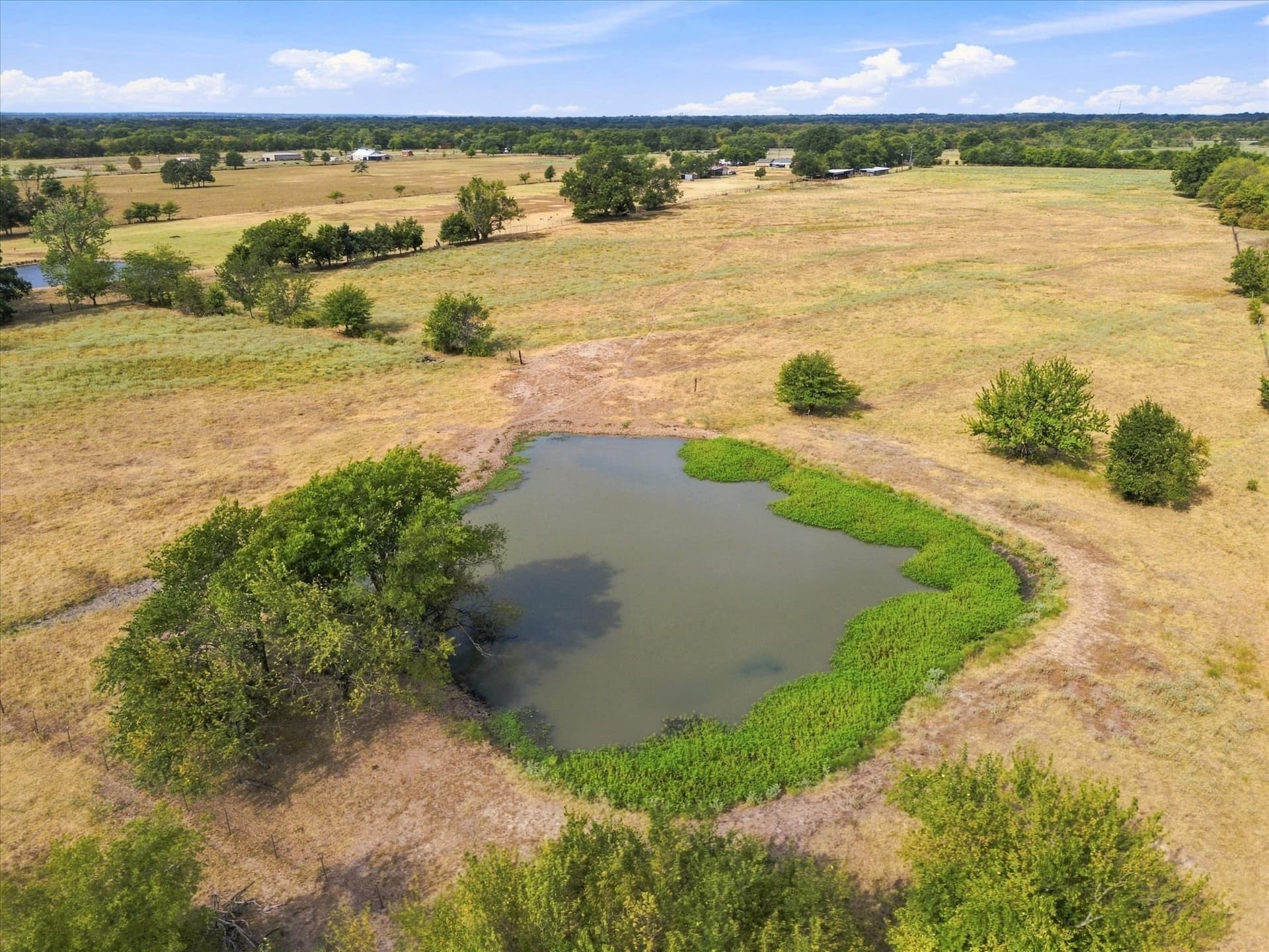 21.4 acres in Delta County - photo 15