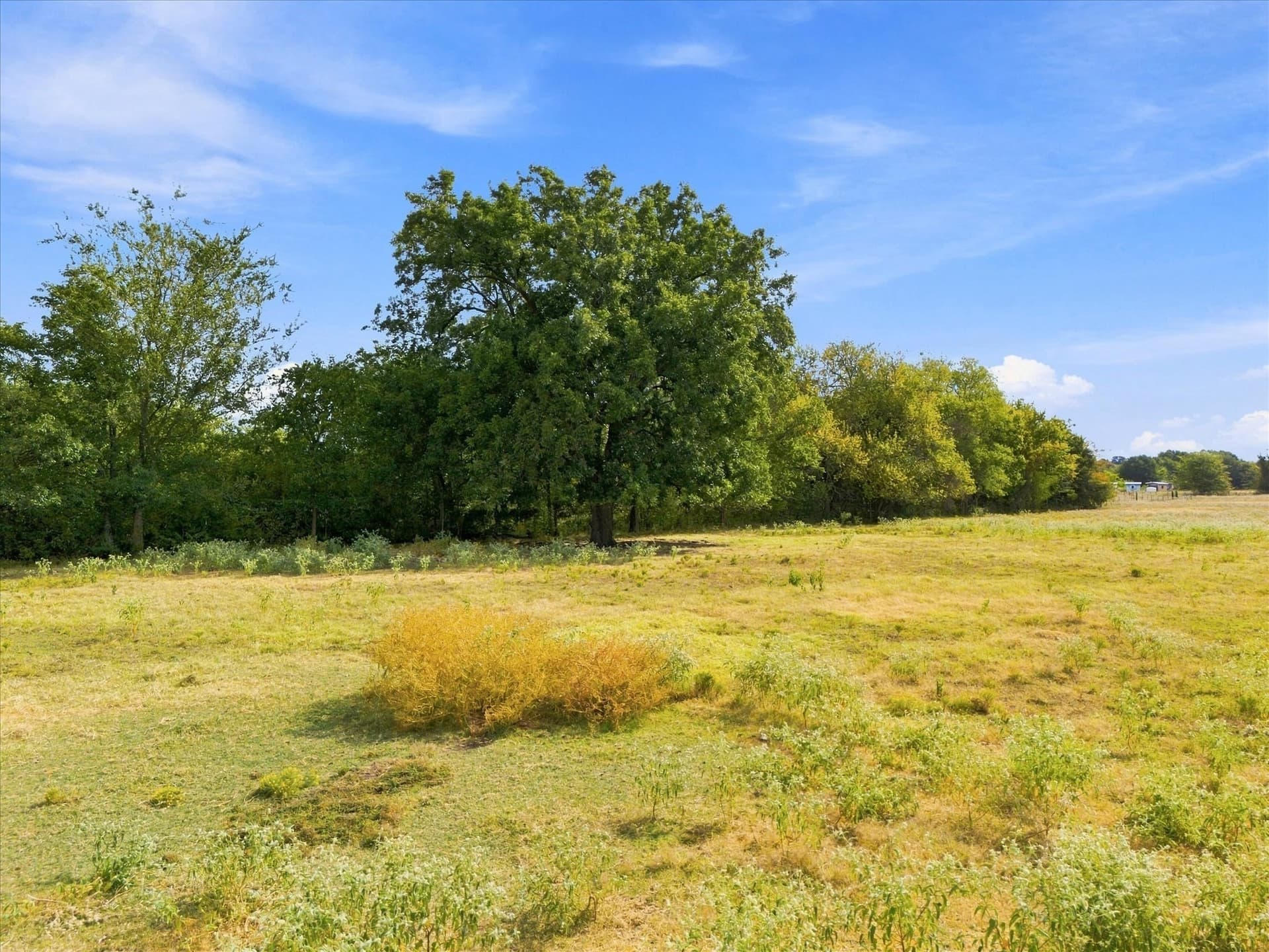 21.4 acres in Delta County - photo 21
