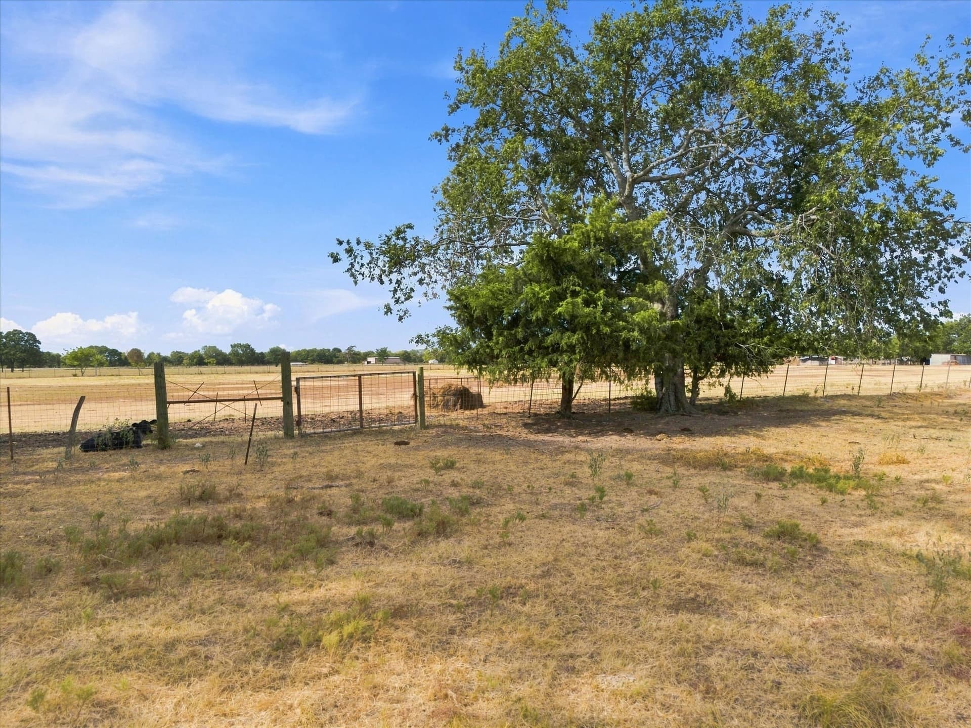 21.4 acres in Delta County - photo 20