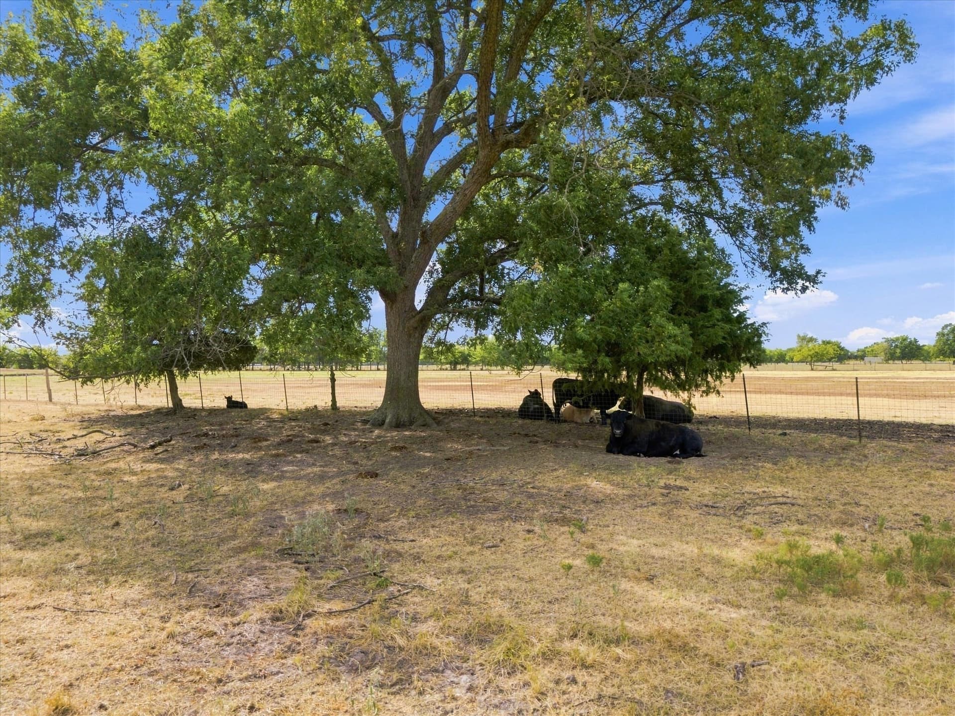 21.4 acres in Delta County - photo 19