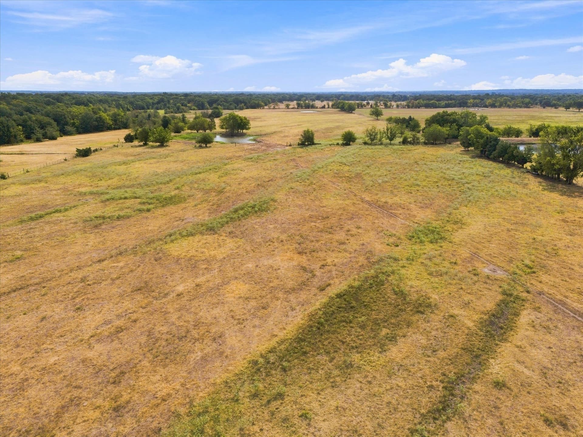 21.4 acres in Delta County - photo 25