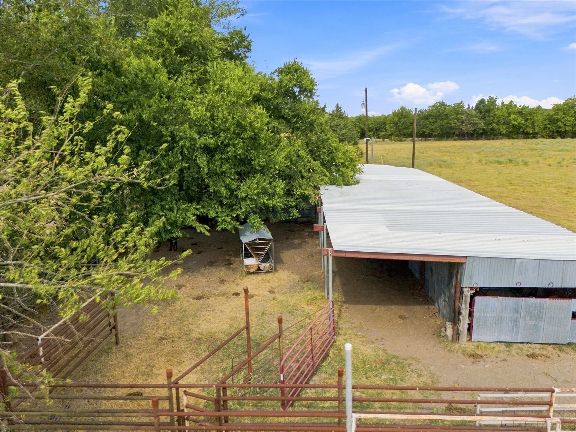 21.4 acres in Delta County - photo 4