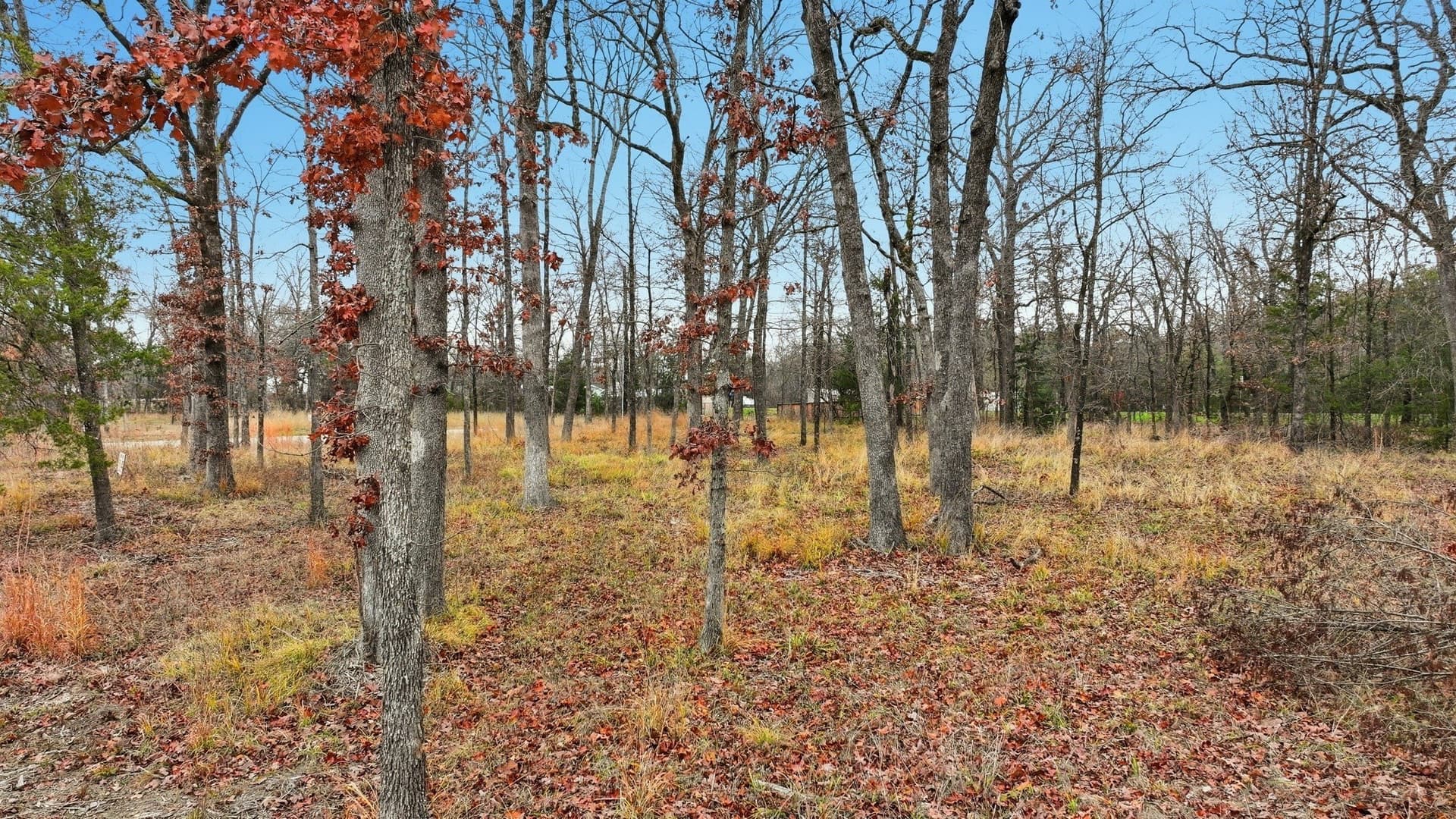 0.73 acres in Wood County - photo 12