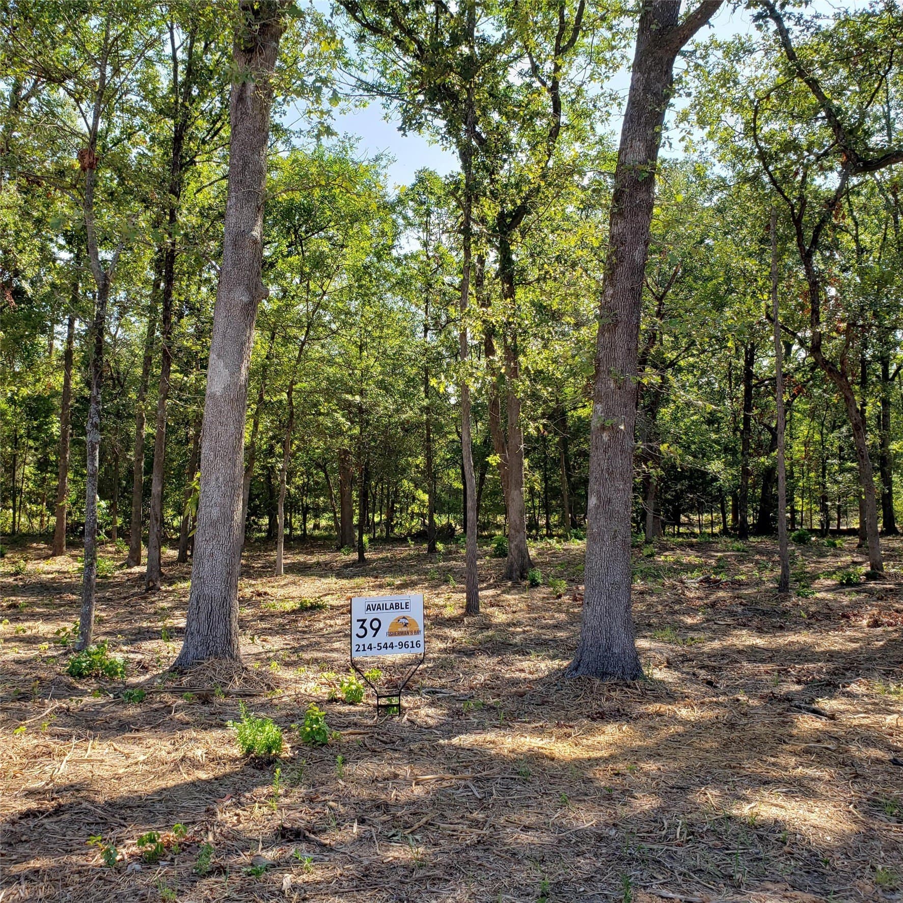 0.73 acres in Wood County - photo 13