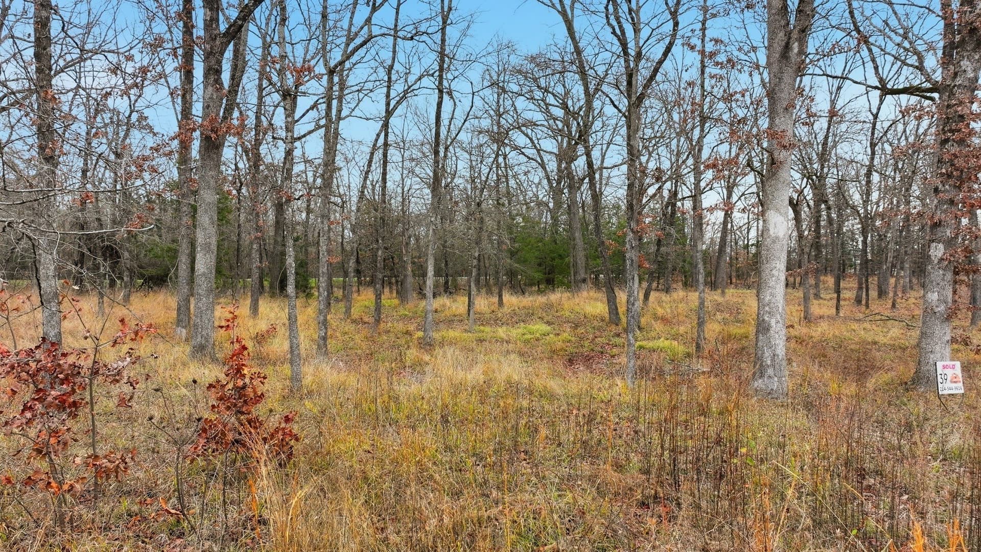 0.73 acres in Wood County - photo 11